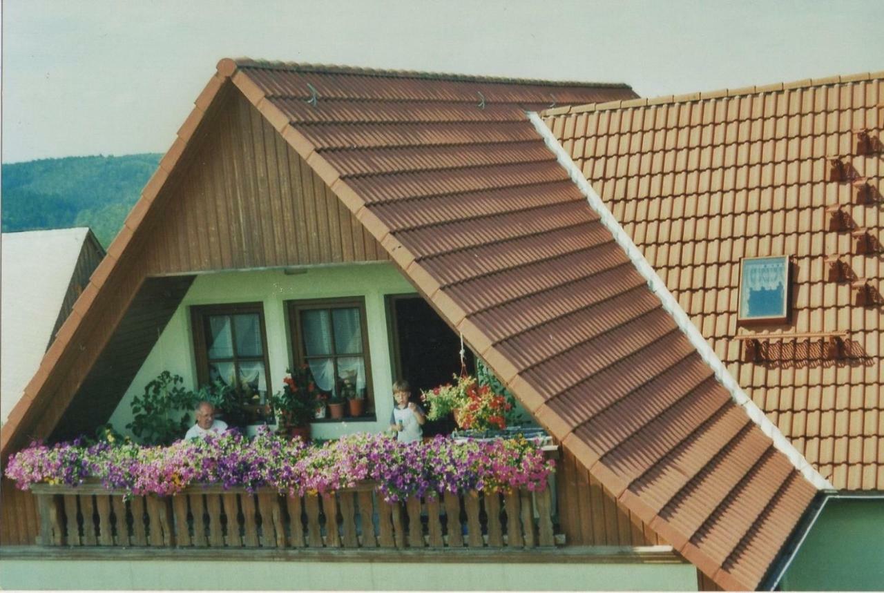 Fewomaurer Wg1 Dachgeschoss Altendorf (Sebnitz) Exterior foto
